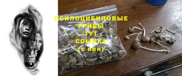 прущая мука Вязники