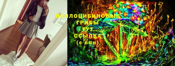 прущая мука Вяземский