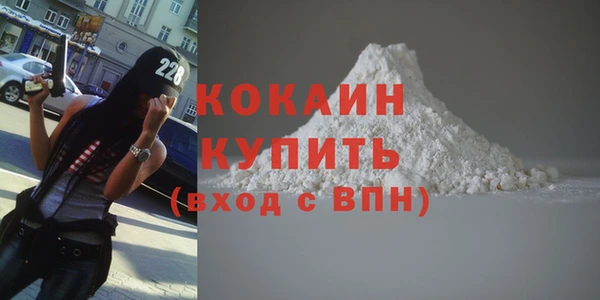 прущая мука Вяземский