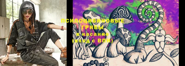 прущая мука Вяземский