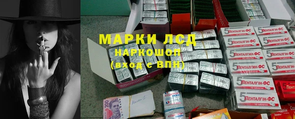 прущие крисы Горняк