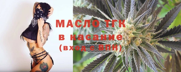 прущая мука Вяземский