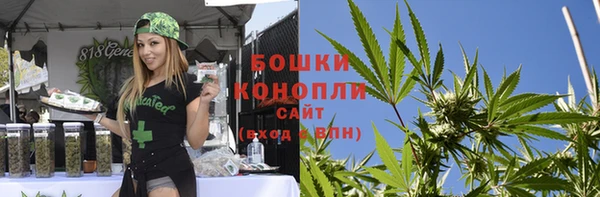 прущие крисы Горняк